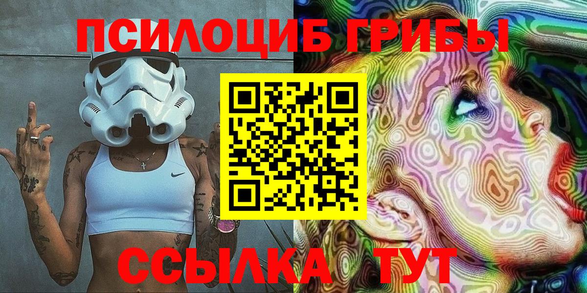 Балашиха  купить закладку  Вход с VPN  Галлюциногенные грибы Psilocybe 