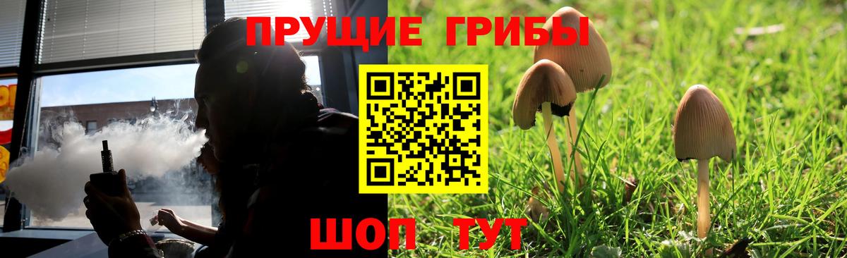Псилоцибиновые грибы Cubensis Балашиха